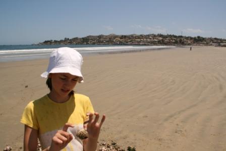 Ithana am Strand von Tongoy